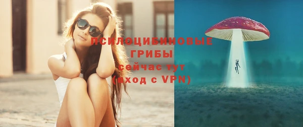 ПСИЛОЦИБИНОВЫЕ ГРИБЫ Нефтекумск
