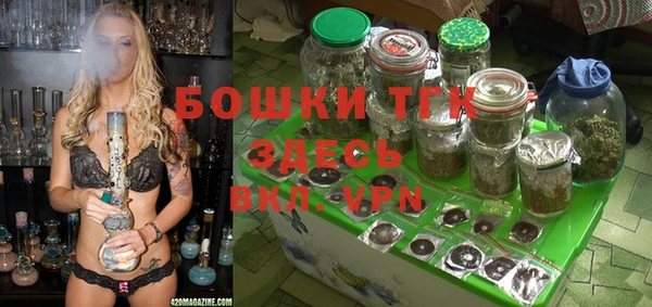 гидра Нея