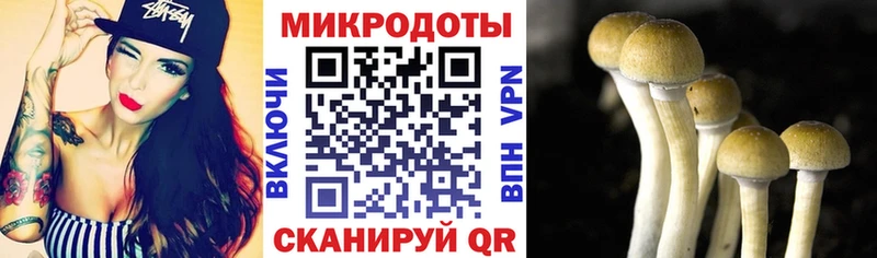 Галлюциногенные грибы MAGIC MUSHROOMS Шумерля