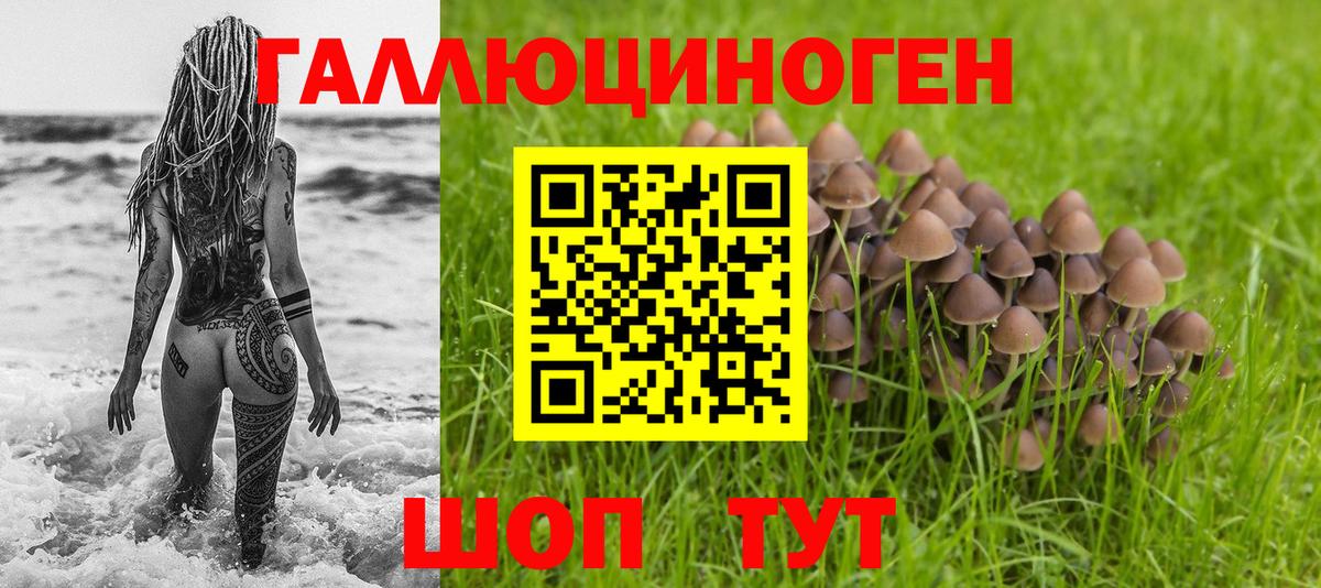купить наркоту  Вход с VPN  Шумерля  Галлюциногенные грибы MAGIC MUSHROOMS 