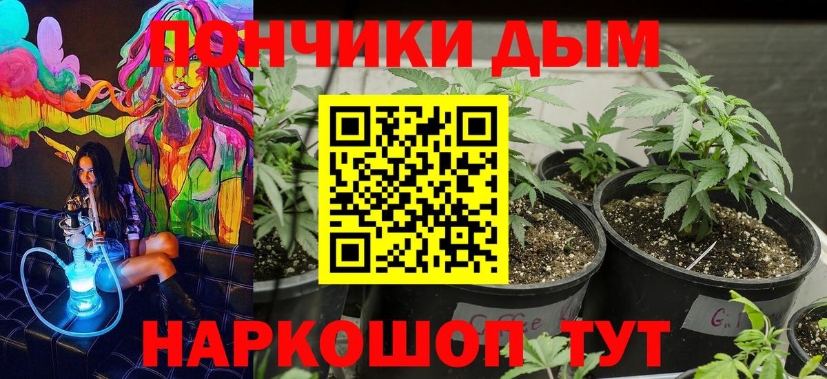 Шишки марихуана SATIVA & INDICA  Вход с VPN  Каннабис THC 21%  Шумерля  Марихуана тримм 